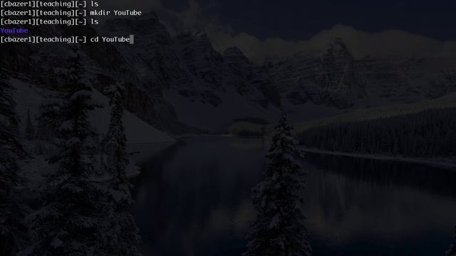 First Commands - Introduction to Linux for Absolute Beginners #1 (2016) смотреть онлайн