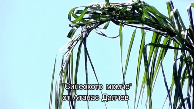 Синеокото момче - Атанас Далчев смотреть онлайн