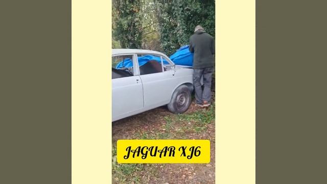 JAGUAR XJ6/как мы перегоняли Ягуар XJ6