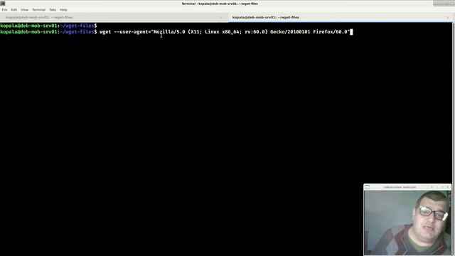 Linux. ბრძანებითი სტრიქონი. ბრძანება: wget. wget-ის ბრაუზერად შენიღბვა. User Agent-ის მოდიფიცირება. смотреть онлайн