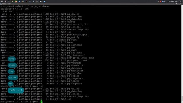 Запись выборки в файл PSQL 12 | Fedora Server 31 смотреть онлайн