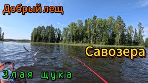 Добрый лещ и злая щука Савозера