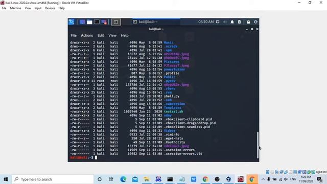 14 long listing Kali Linux Beginner Tutorial | Vulnhub Tutorial | HTB Tutorial смотреть онлайн