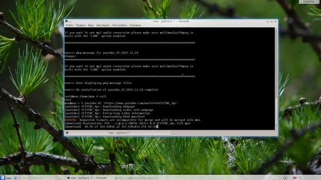 Download Youtube video on FreeBSD and GNU/Linux смотреть онлайн