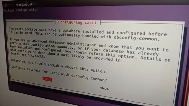 demo cacti graphs смотреть онлайн