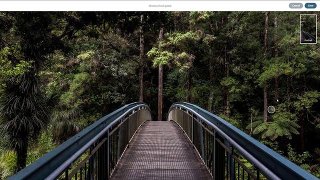 Adobe Spark Tutorial - Lesson 19 - Working with Photos in Page смотреть онлайн