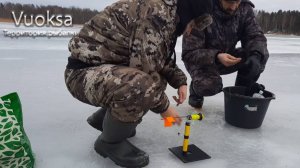 Ставим зимние жерлицы на Вуоксе. Ловим щуку на новые жерлицы.