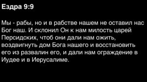 День 123. Библия за год. С митрополитом Иларионом.