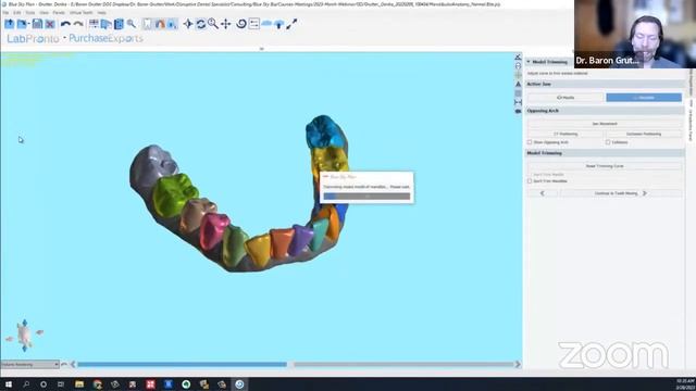 Clinical Orthodontic Planning Using Segmented CT Teeth and Other New BlueSkyPlan Features смотреть онлайн