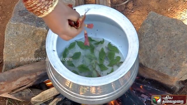 ‘Konjam Sooru Konjam Varalaru’: கடுகு கீரை சாதம் செய்வது எப்படி? | 15/02/2020