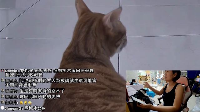 【直播】歐戀要變成胖貓了嗎 20230618 (MiMi醬&黑妞&阿金&歐戀&阿虎) смотреть онлайн