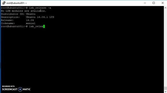 Check Ubuntu version смотреть онлайн