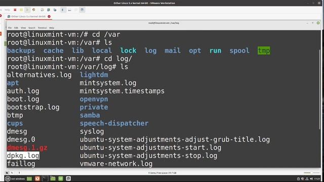 Linux Mint Course part 3 смотреть онлайн