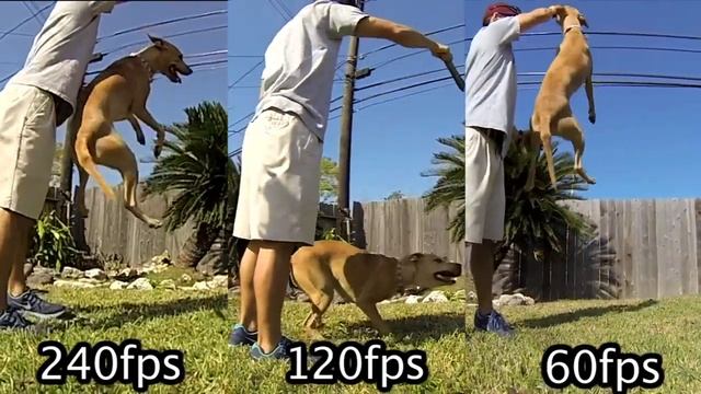 Slow motion 60fps vs 120fps vs 240fps смотреть онлайн