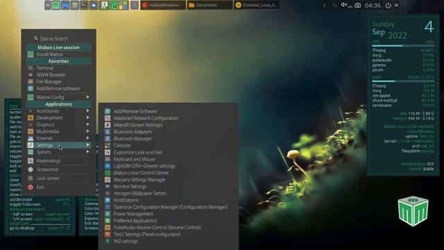 🐧️ Mabox Linux Test 😀️👍️ смотреть онлайн