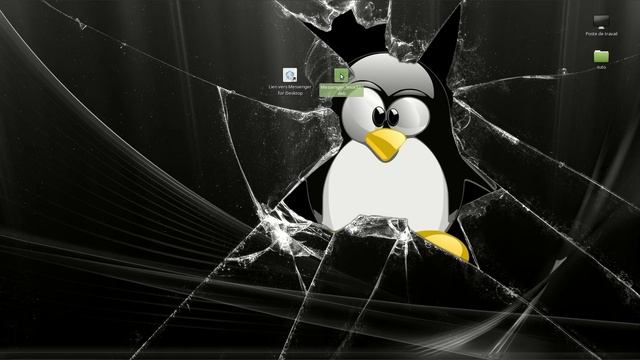 linux mint install messenger facebook 2015 FR смотреть онлайн