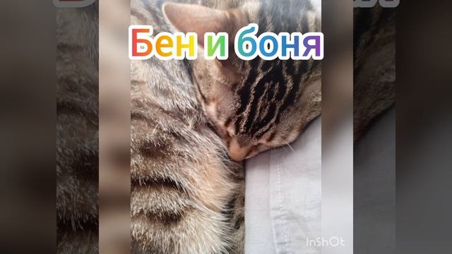 Бен и Боня смотреть онлайн