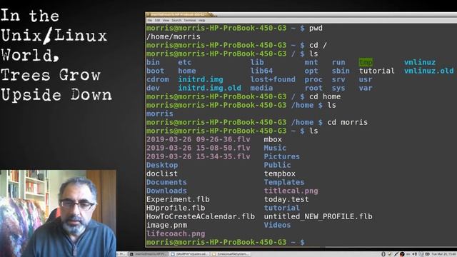 In the Unix/Linux World, Trees Grow Upside Down смотреть онлайн