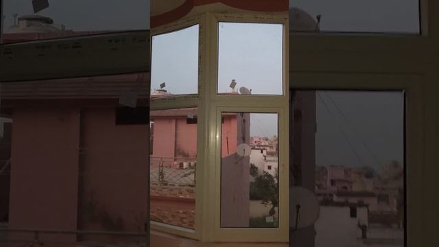 Arch windows install by sneha Enterprises (Virendra Kumar - 8368207184) смотреть онлайн
