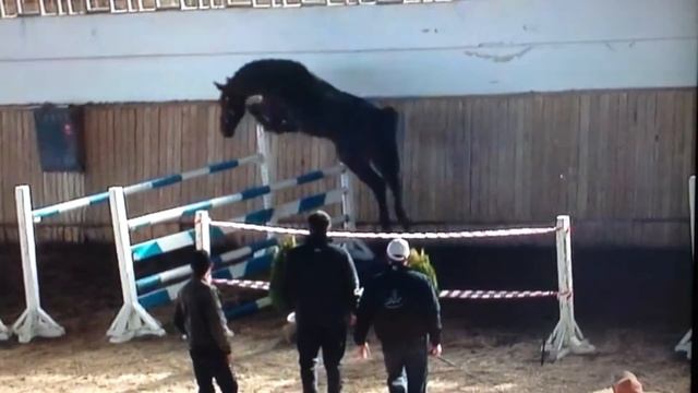 lamborghini 002 смотреть онлайн