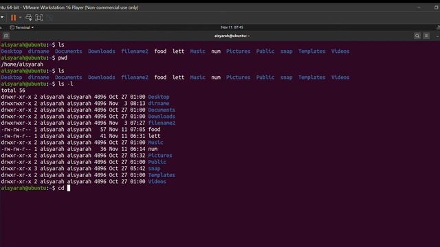 UBUNTU ls command смотреть онлайн