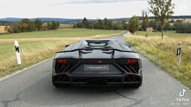 черная ламба ргини