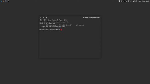 GNU Screen Di Linux, Multipleksing Terminal смотреть онлайн