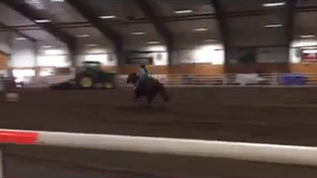 Olivia And Apple 1D Open NBHA Run 4/10/16