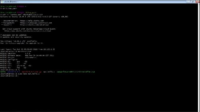 Install dan Menjalankan MPI di Ubuntu Virtual Machine смотреть онлайн