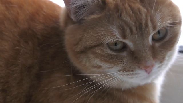 Пансионат для пожилых людей. Нет болезням и одиночеству.