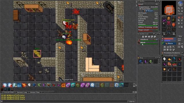 HUNT EN DARK CATHEDRAL//TIBIA смотреть онлайн