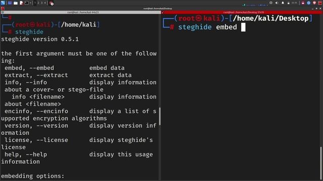 How to Hide Information Inside Image | Steganography | Cybersecurity смотреть онлайн