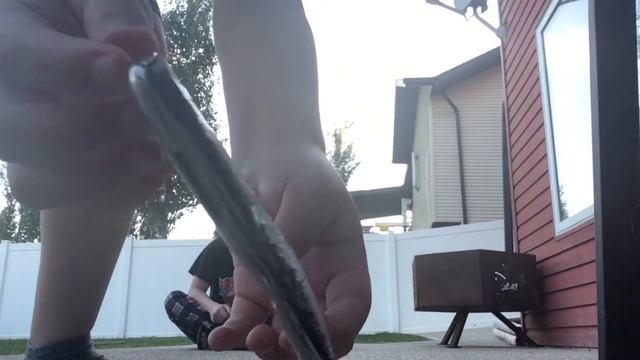 Destroying The iPod Touch Generation 2 | (Feat: Declan) смотреть онлайн