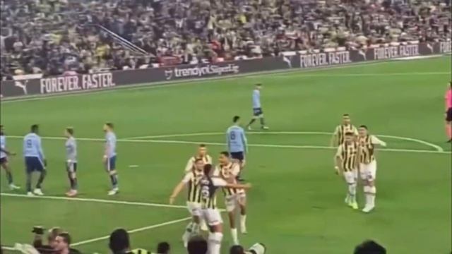 FENERBAHÇE - ADANADEMİRSPOR MAÇ ÖZETİ (GOLLER) смотреть онлайн