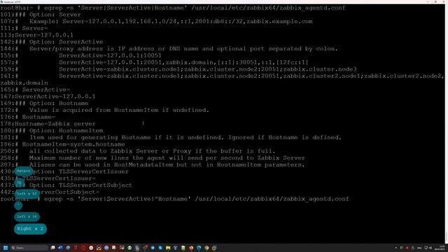 Установка Zabbix Agent 6.4 на FreeBSD 13.2 смотреть онлайн