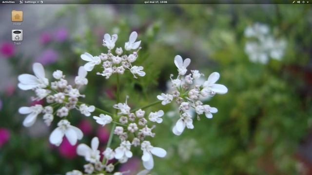 Boot do Ubuntu 18.04 e Gnome Shell vanilla смотреть онлайн