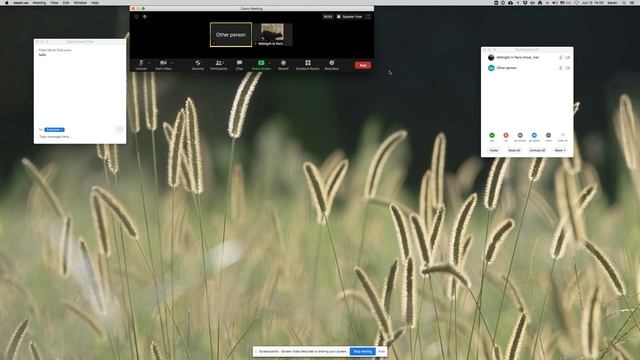 Zoom: Pop-out 'Chat' and 'Participants' windows смотреть онлайн