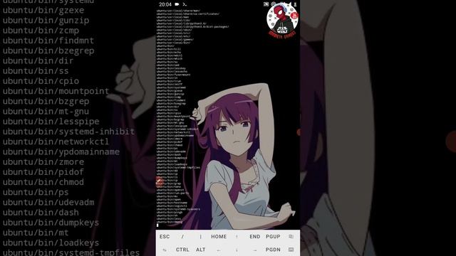 INSTALL UBUNTU 18.04 x86_64 (BIONIC) ON ANDROID смотреть онлайн