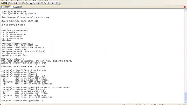DHCP Option 43, part 2 смотреть онлайн