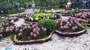 Москва, цветущие яблоневые сады в Коломенском, Парк Коломенское, парад тюльпанов, май 2021