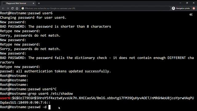 Tutoriel Linux - 47. Comment changer un mot de passe d'un utilisateur sous Linux ? смотреть онлайн