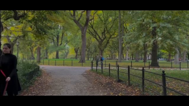 NYC fall season 2022 | iPhone 13 ProRes Cinematic 4K смотреть онлайн