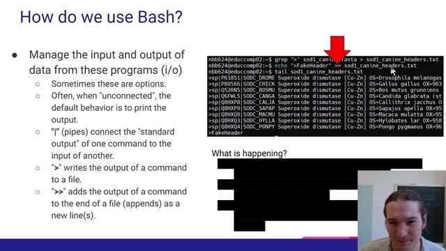 Linux-01: Shell interactions on a Linux-based operating system using Bash смотреть онлайн