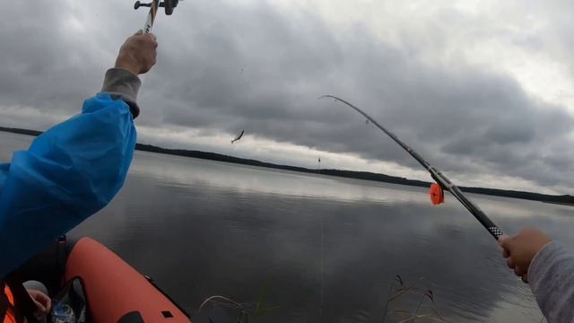 Вуокса #рыба #рыбалка2023 #щука