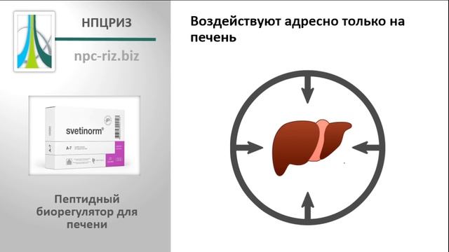 Светинорм смотреть онлайн