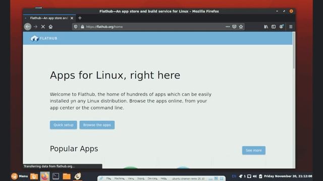 installation of ubuntu cinnamon remix #GROOVY_GORILLA 20 10 && REVIW смотреть онлайн