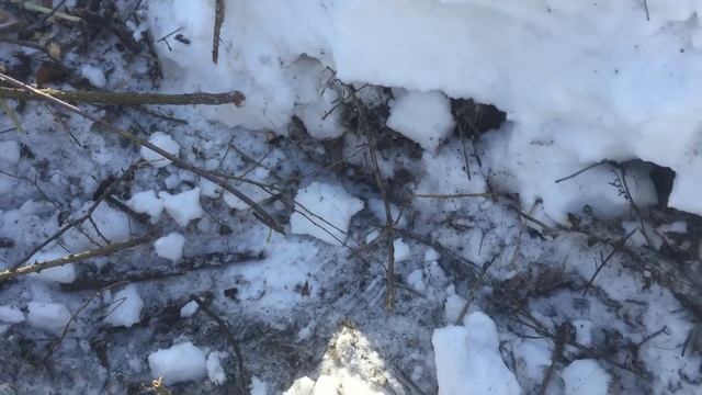 КоП МетаЛЛолома в зимний период смотреть онлайн
