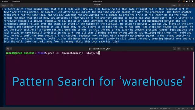 Pattern Match Whole Word Using Extended Regular Expressions & grep in linux | grep command смотреть онлайн