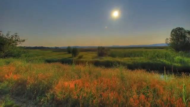 Tongi Zikr Ila Qalbingizni Uygoting. #sunnah #quron #tajveed               #зикр #куран #тасбих