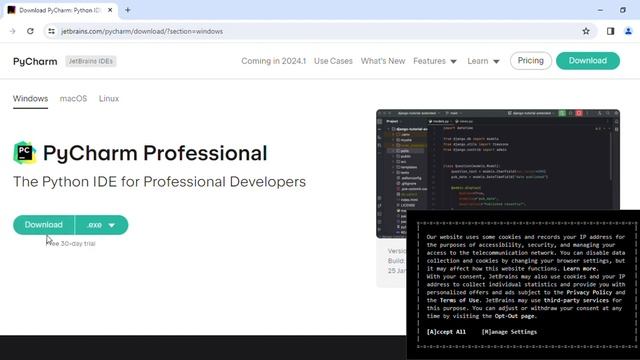 How to download PyCharm in windows 10 in 2024 смотреть онлайн